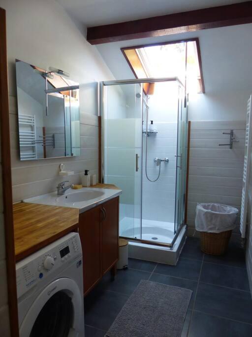Appartement Dans Maison Brié-et-Angonnes Exteriör bild
